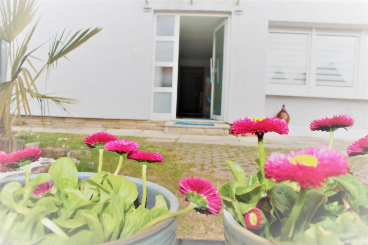 Fewo- Und Monteurswohnung Morgentau Apartment Germersheim